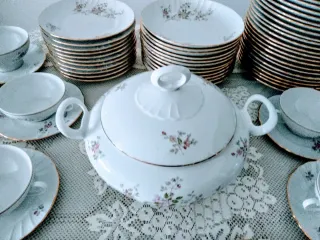 Vajilla Porcelana Irabia 77 piezas