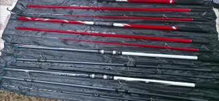 Cañas de surfcasting