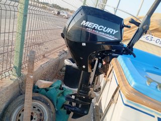 Barca con motor 15cv y remolque