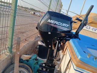 Barca con motor 15cv y remolque