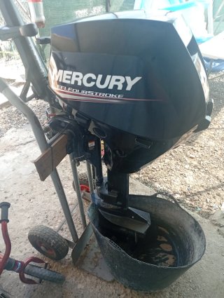 Barca con motor 15cv y remolque