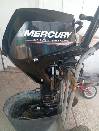Barca con motor 15cv y remolque