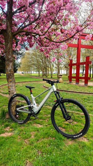 SCOTT Genius 940 del 2024 talla L de 29" impecable
