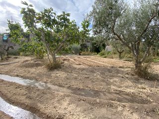 Trabajos de jardineria, desbroce, podas.