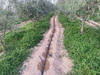 Trabajos de jardineria, desbroce, podas.