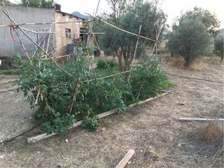 Trabajos de jardineria, desbroce, podas.