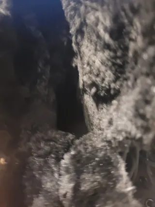 Botas de nieve para hombre