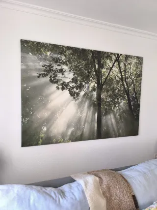 Cuadro Decorativo Bosque ¡¡URGE VENTA!!