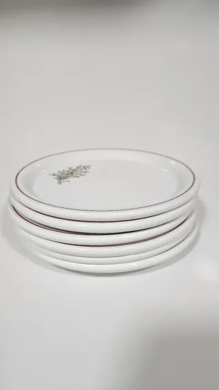 Piatto grande e 6 piatti da dessert floreali