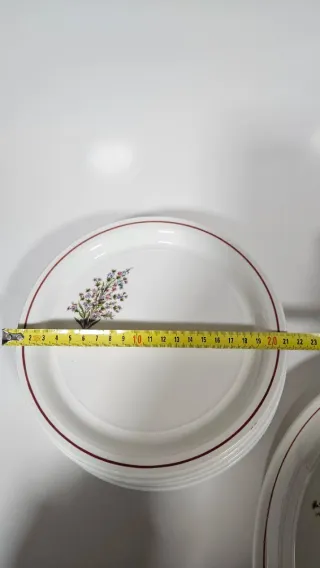 Piatto grande e 6 piatti da dessert floreali