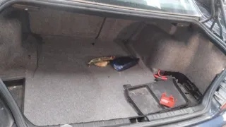 Despiece BMW E46 coupe 320d 150cv 204D4 2003