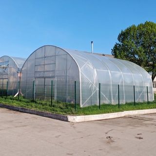 Cubierta Plástica para Invernadero 12 x 50 pies, Película de Invernadero Transparente de 6 Mil de Grosor, Película de Polietileno Resistente a UV por 4 Años, para Jardinería, Agricultura, Agricult...