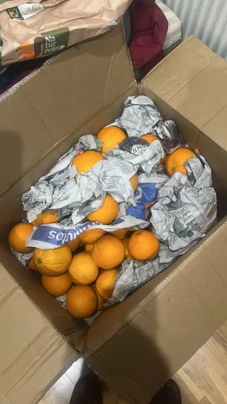 Pack ecológico M.Jesus (Burgos)