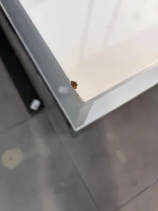 Mesa comedor elevable madera y blanco