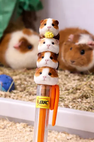 2 Bolígrafos BIC de Cobayas