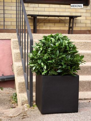 Maceta Cubo Grande fibra de vidrio. Gris y negro.