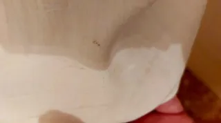 Blusa Zara Blanca Encaje Lazos