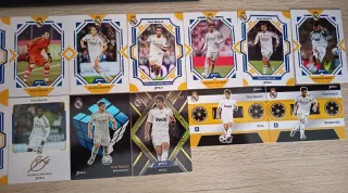 Colección cromos Real Madrid Daka
