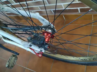 Bicicleta Trek Jack 1