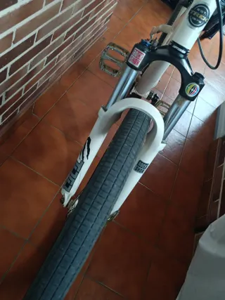 Bicicleta Trek Jack 1