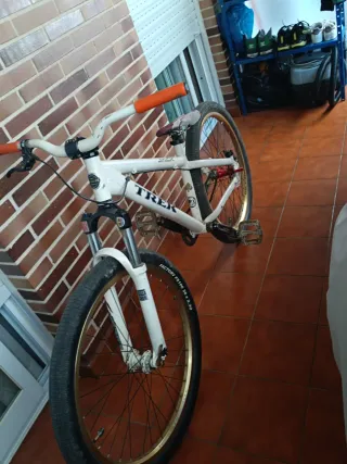 Bicicleta Trek Jack 1