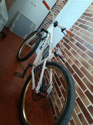 Bicicleta Trek Jack 1