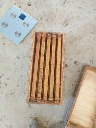 Lote núcleos madera Langstroth 3 nucleos