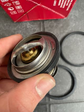 Termostato Peugeot Renault Suzuki