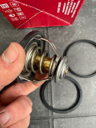 Termostato Peugeot Renault Suzuki