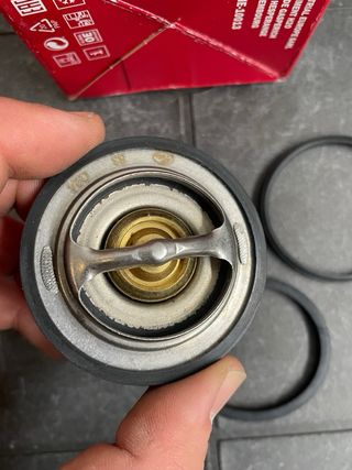 Termostato Peugeot Renault Suzuki