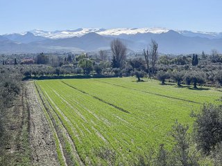 Terreno en venta en Otura