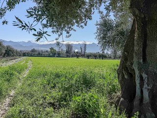 Terreno en venta en Otura