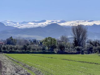 Terreno en venta en Otura