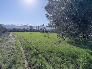 Terreno en venta en Otura