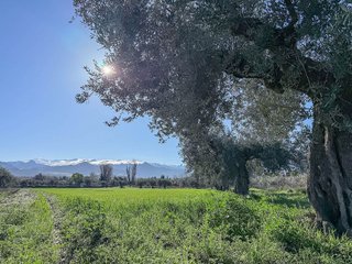Terreno en venta en Otura