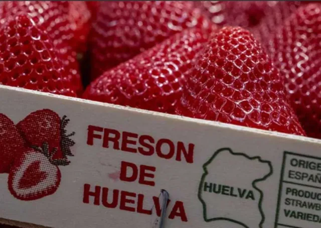 Se necesitan mujeres para la fresa y arandano