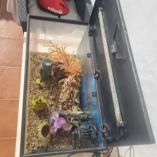 Pecera con decoración Bob Esponja