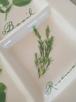 Bandeja de porcelana con hierbas