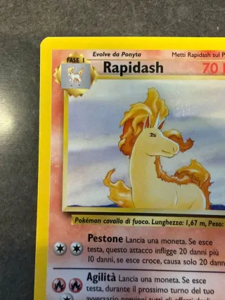 Rapidash 44/64 Jungle Set Ita