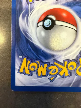 Rapidash 44/64 Jungle Set Ita