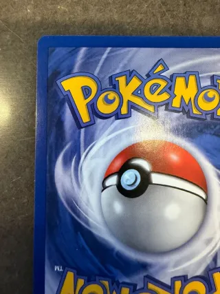 Rapidash 44/64 Jungle Set Ita