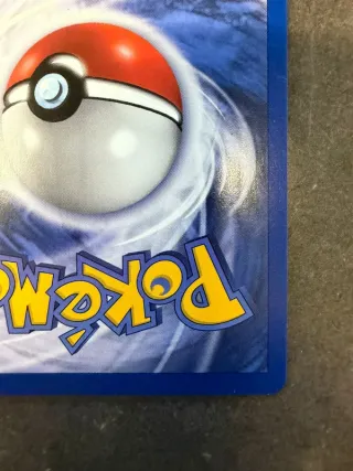 Rapidash 44/64 Jungle Set Ita