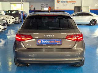 Audi A3 Sportback 1.6 TDI Str Attraction Ed. esp