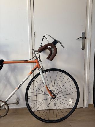 Bicicleta Zeus Clásica para Restaurar