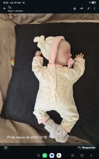 Bebé Reborn 30 cm con Moisés