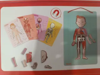 Janod Cuerpo Humano Magnético