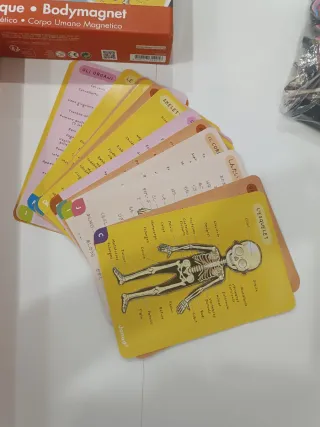 Janod Cuerpo Humano Magnético