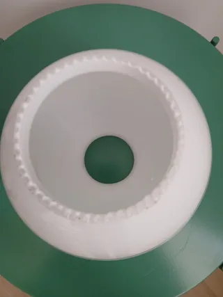 Tulipa opalina con flores dorada