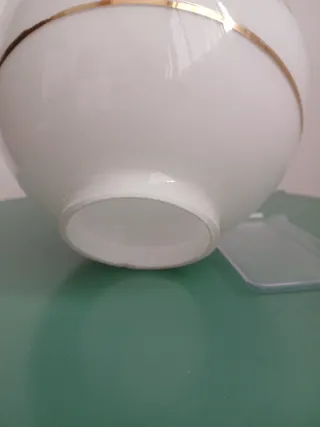 Tulipa opalina con flores dorada