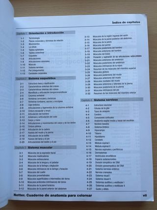 Netter. Cuaderno de anatomía para colorear + St...